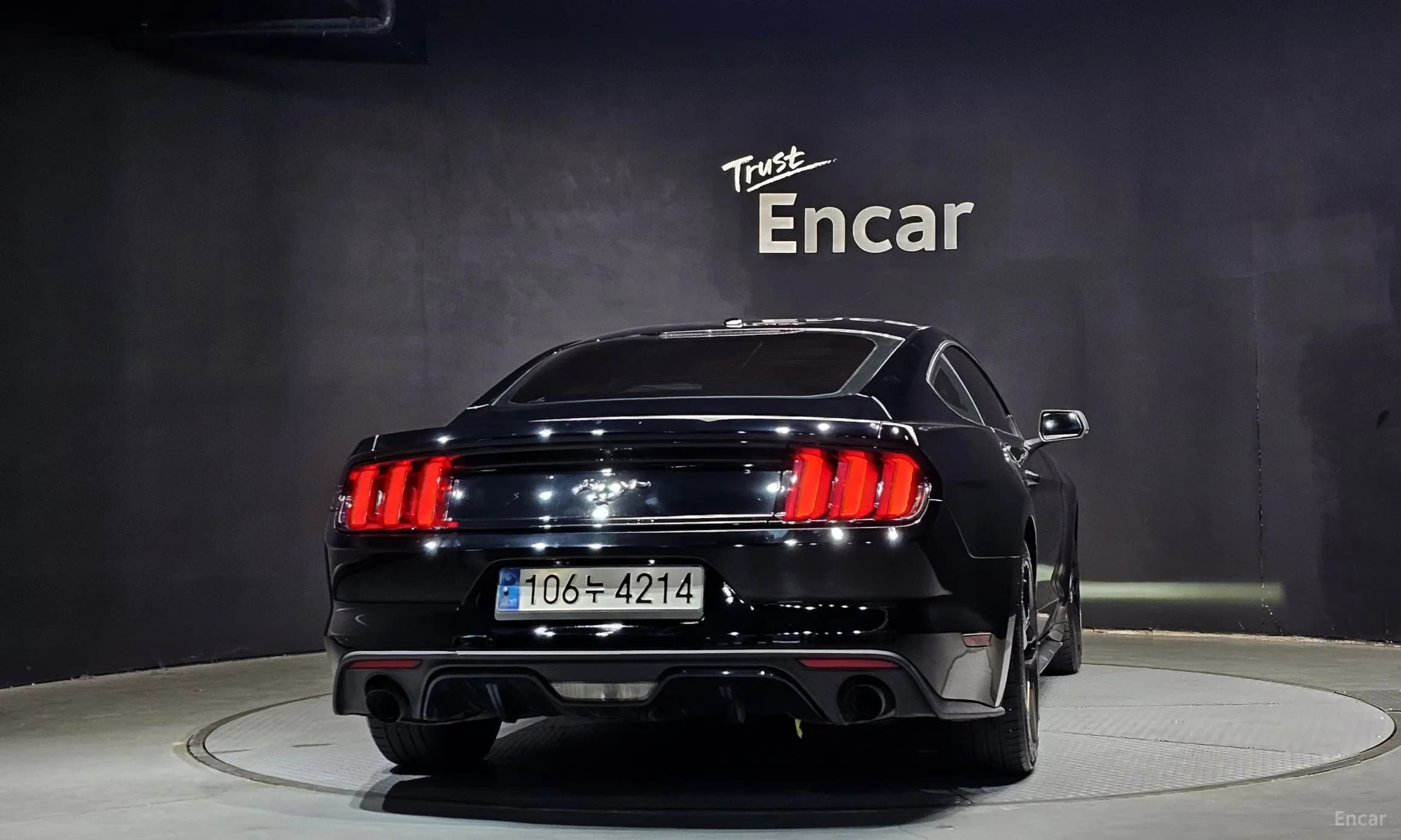 Mustang