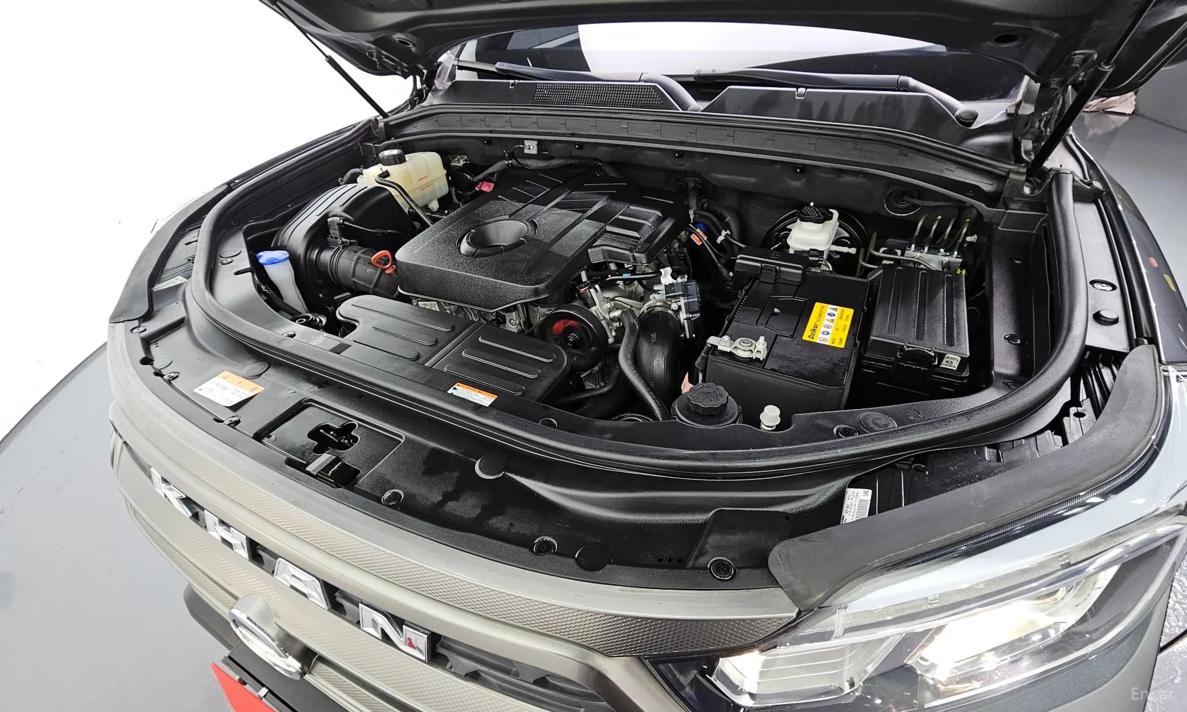 Rexton Sports Khan
