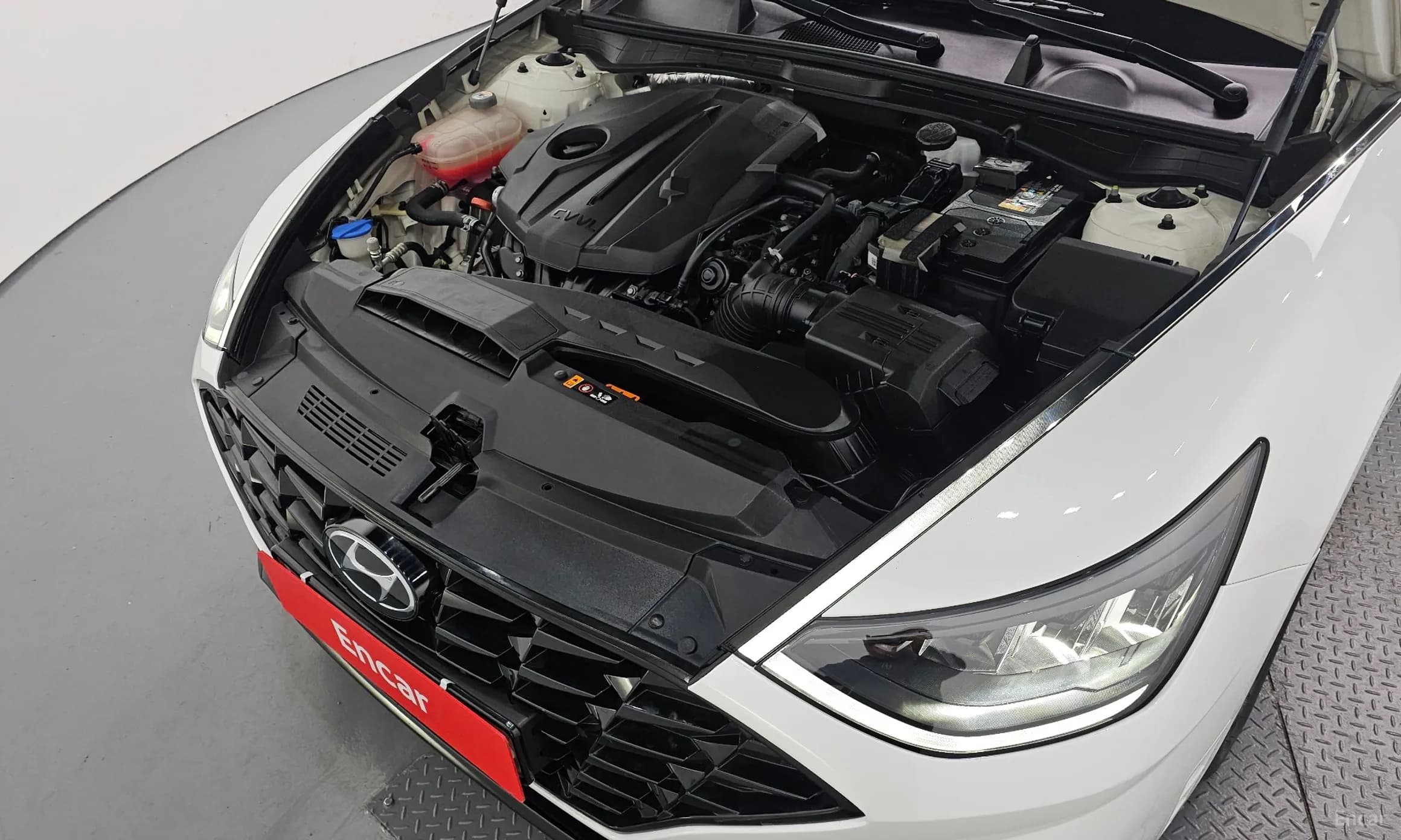 Sonata (DN8)