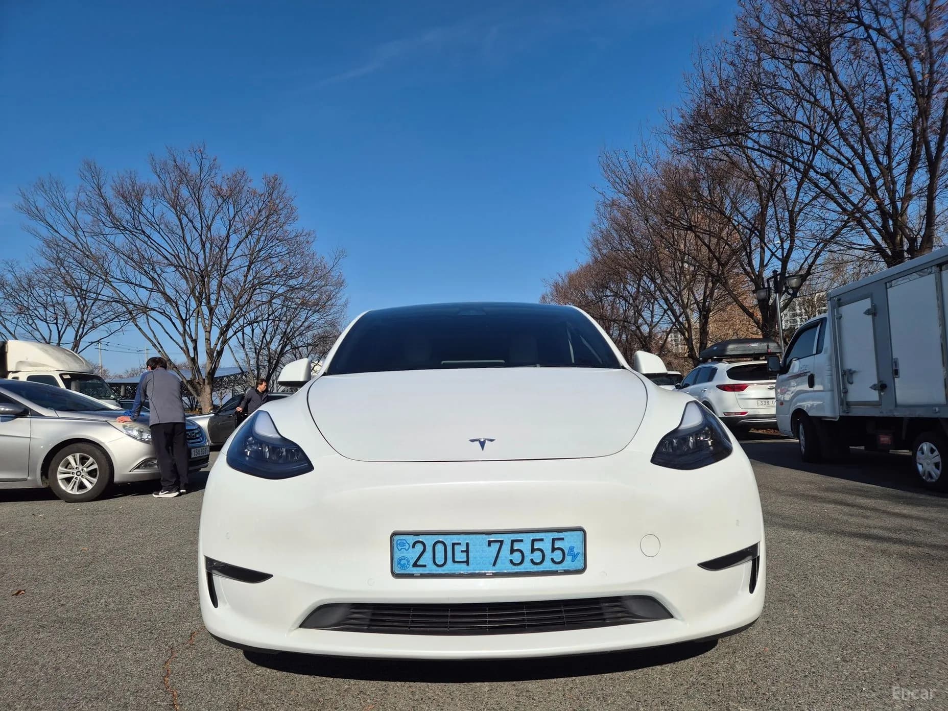 Model Y