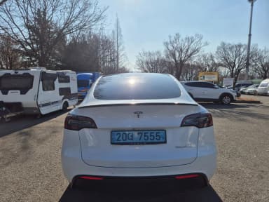 Model Y