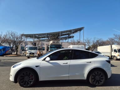 Model Y