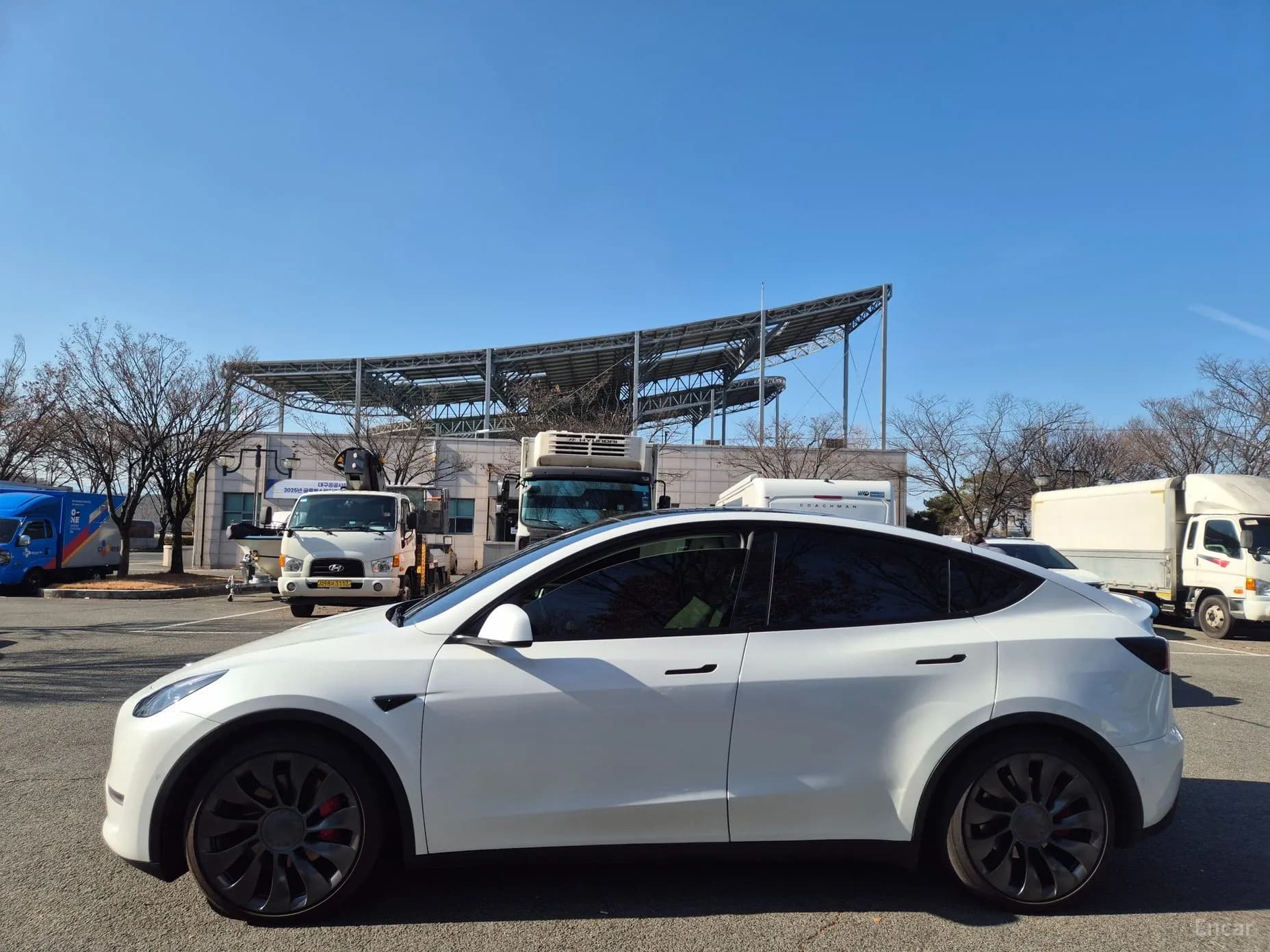 Model Y