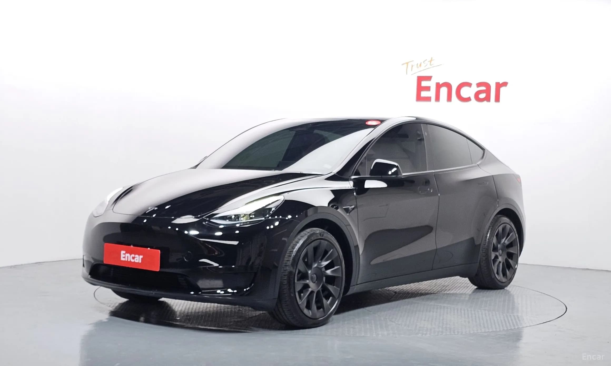 Model Y