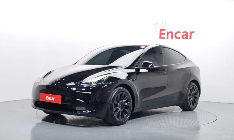 Model Y