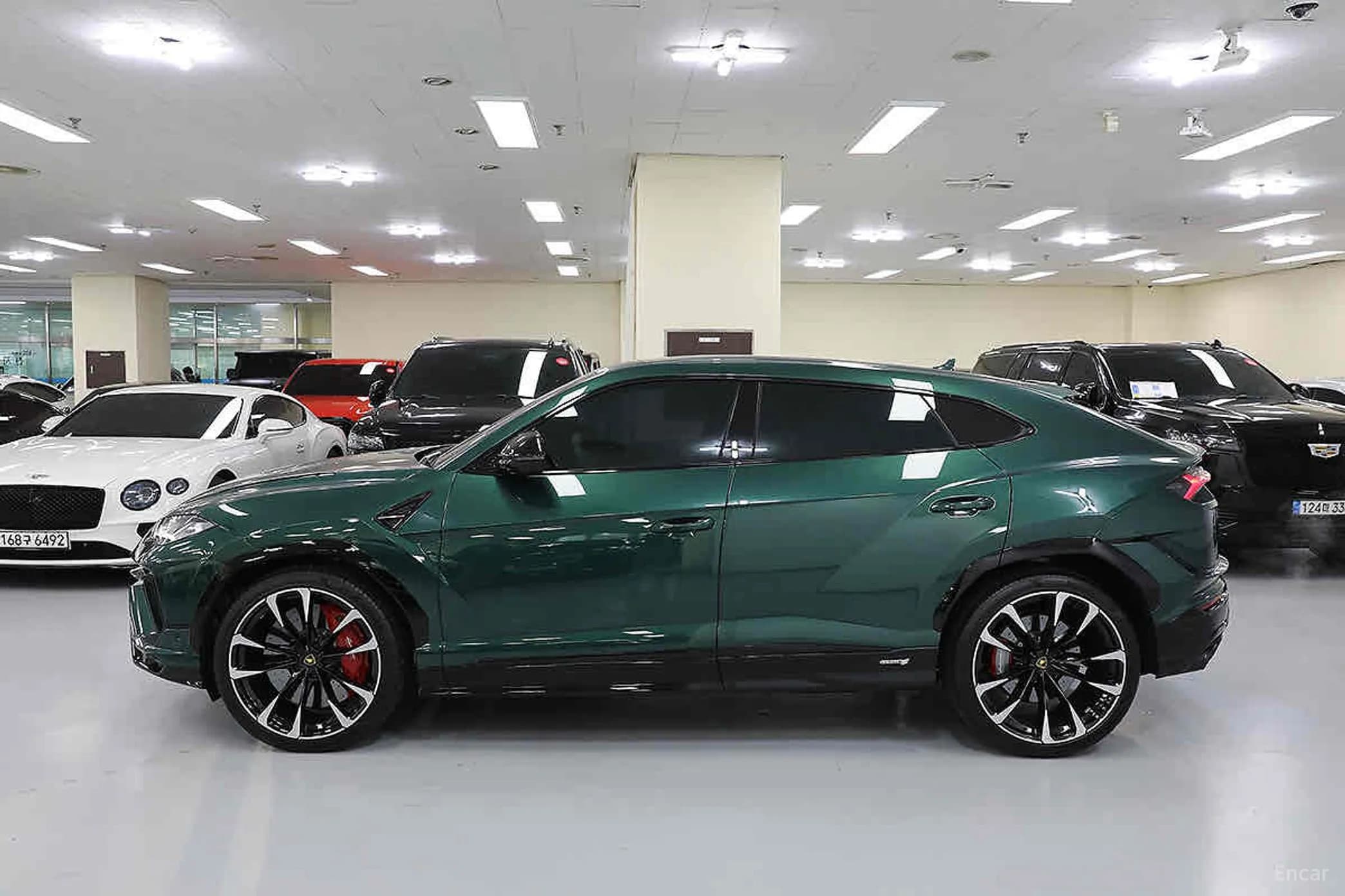 Urus