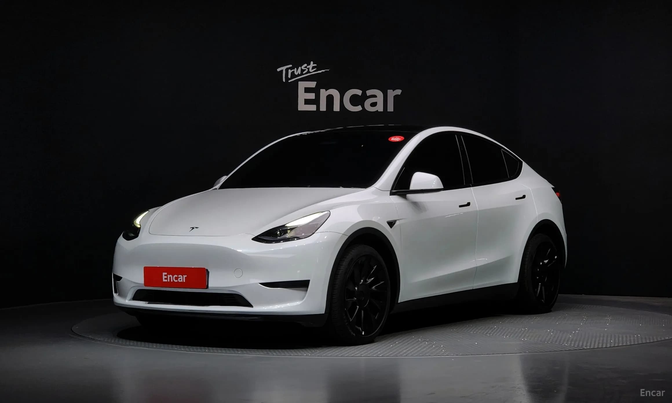 Model Y