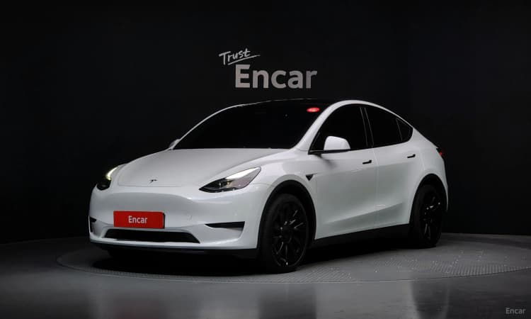 Model Y