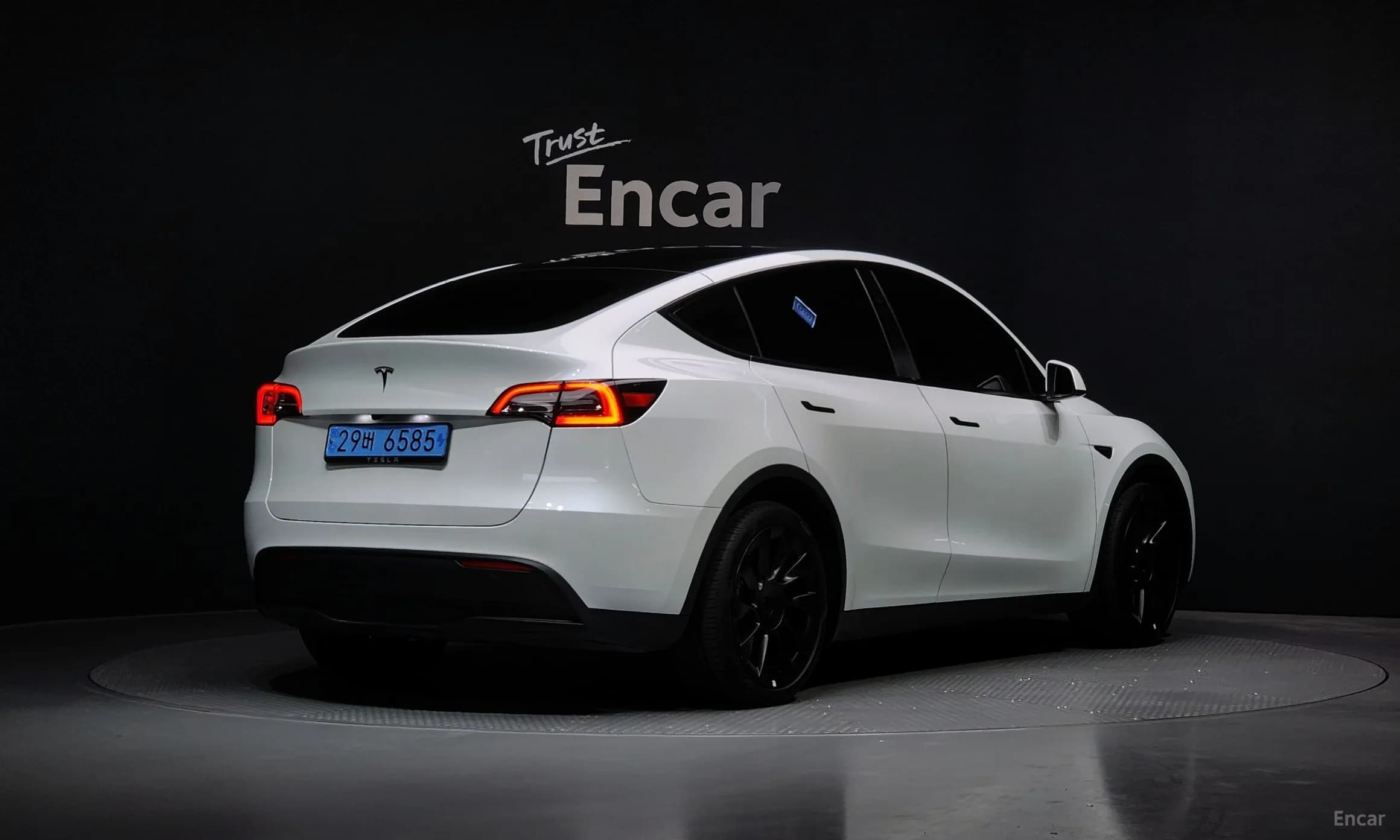 Model Y