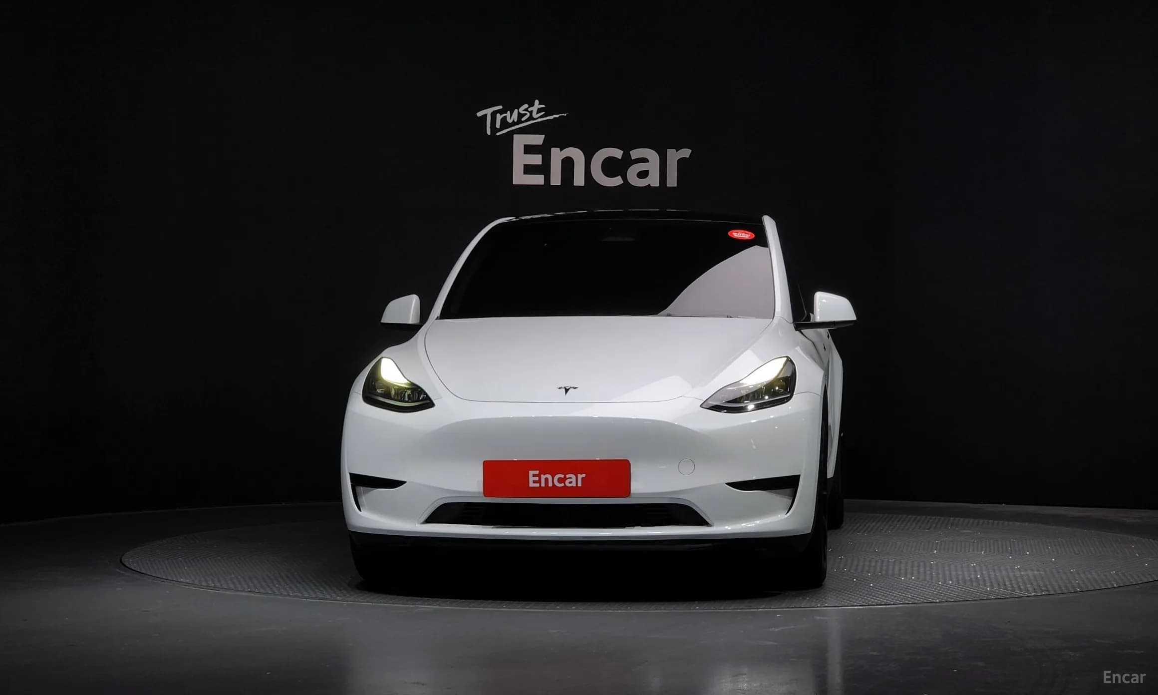 Model Y