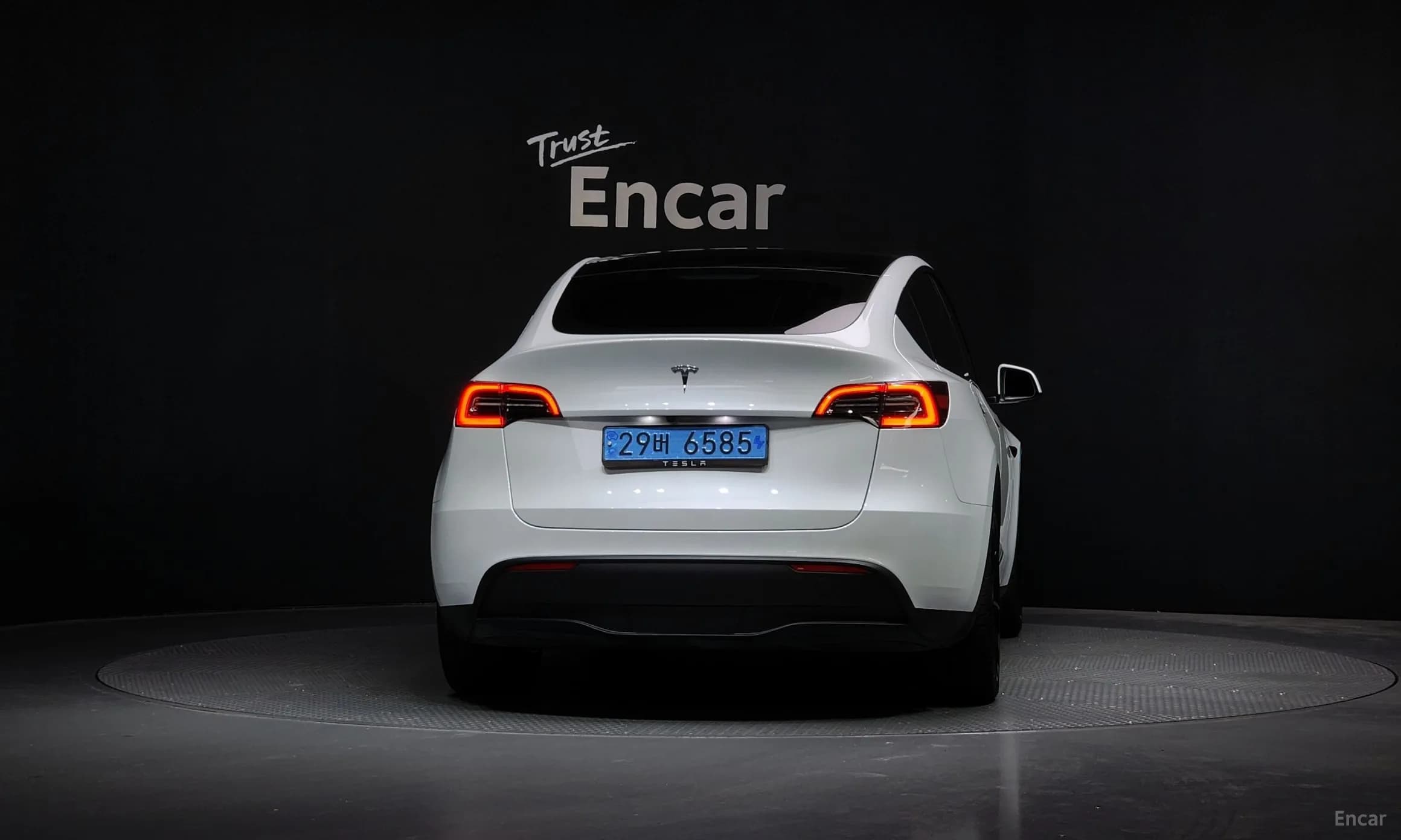 Model Y