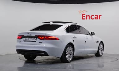 XF (x260)