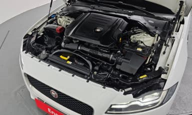 XF (x260)