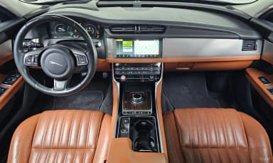 XF (x260)