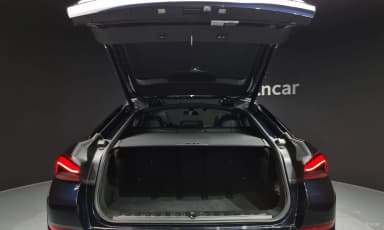 X6 (G06)