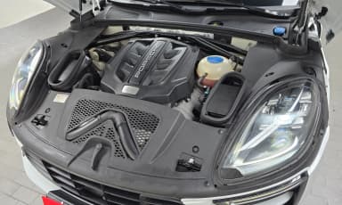 Macan