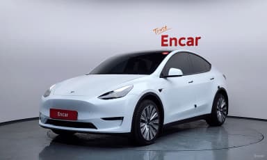 Model Y