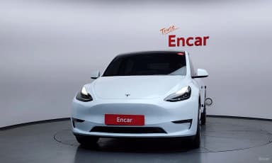 Model Y