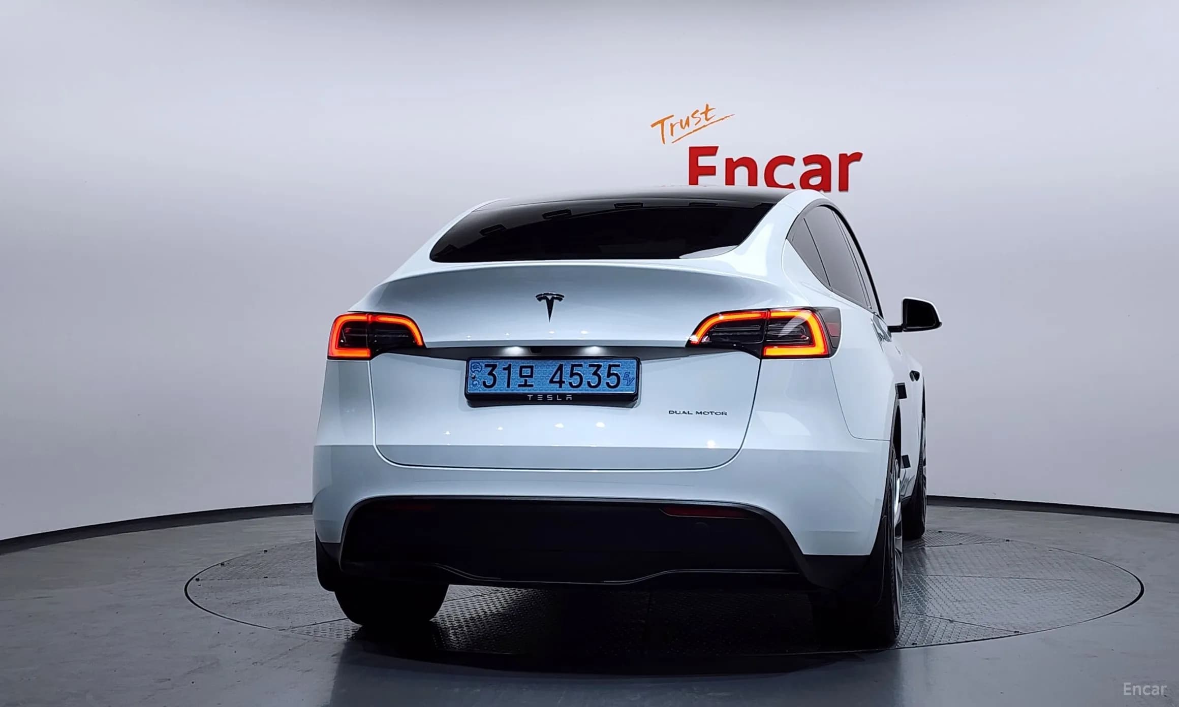 Model Y