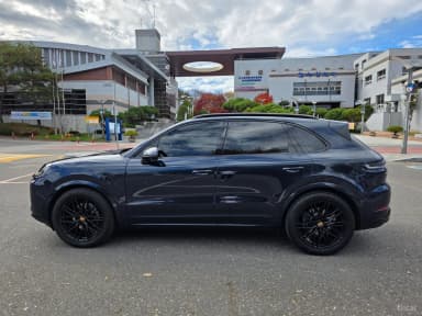 Cayenne (PO536)