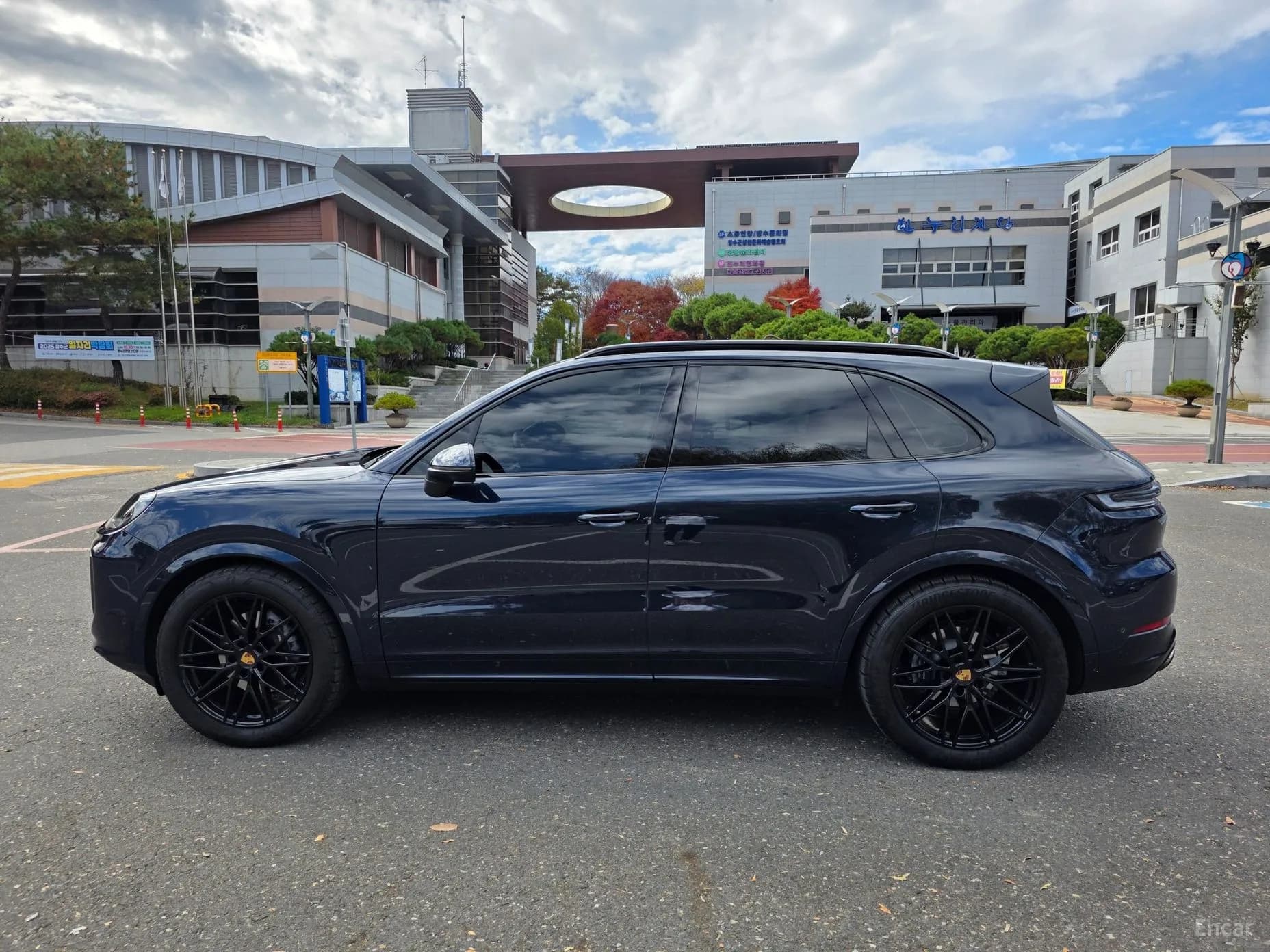 Cayenne (PO536)