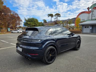 Cayenne (PO536)