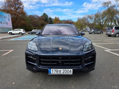 Cayenne (PO536)