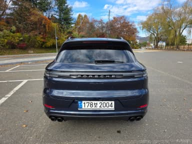 Cayenne (PO536)