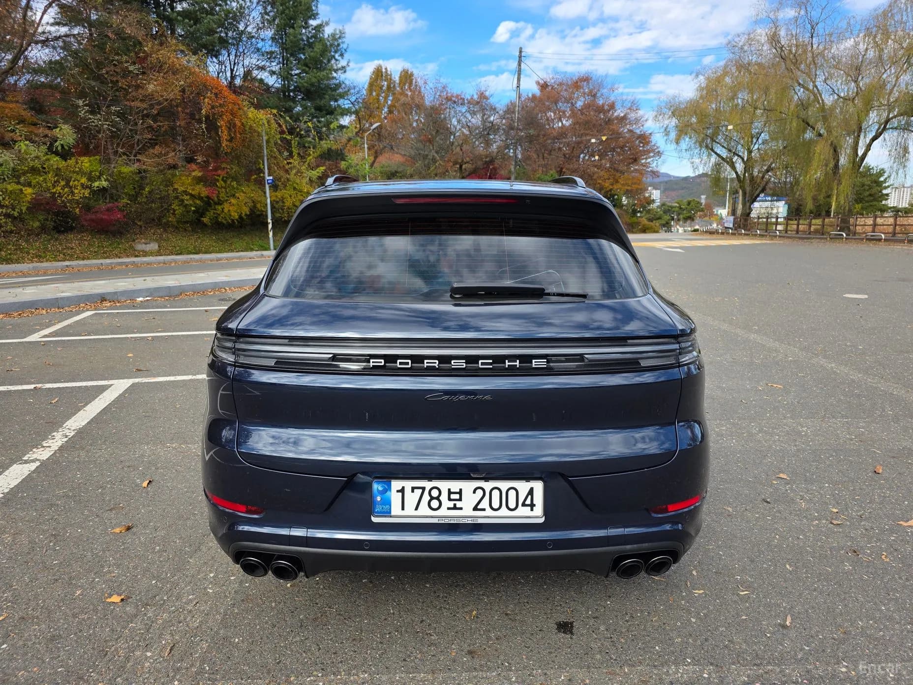 Cayenne (PO536)