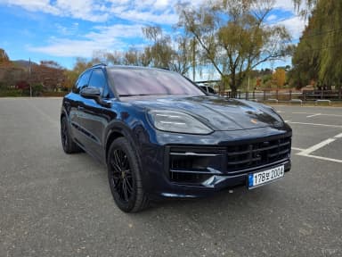 Cayenne (PO536)