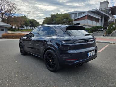 Cayenne (PO536)