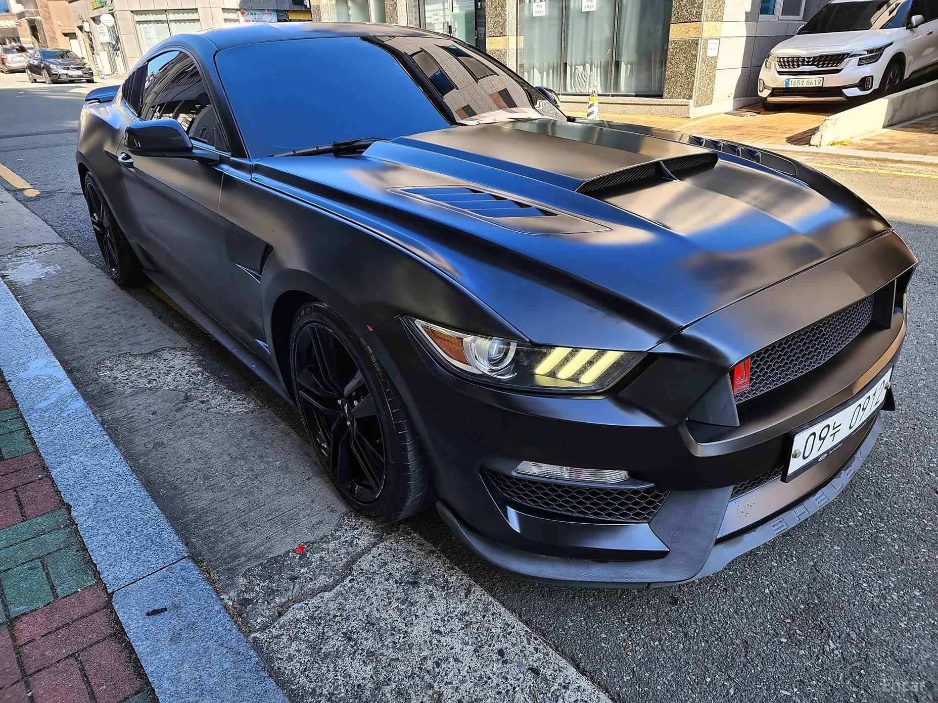 Mustang