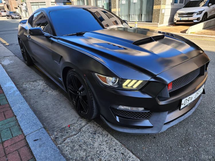 Mustang