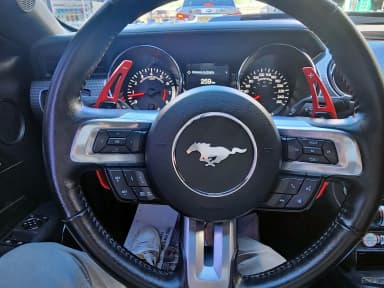 Mustang