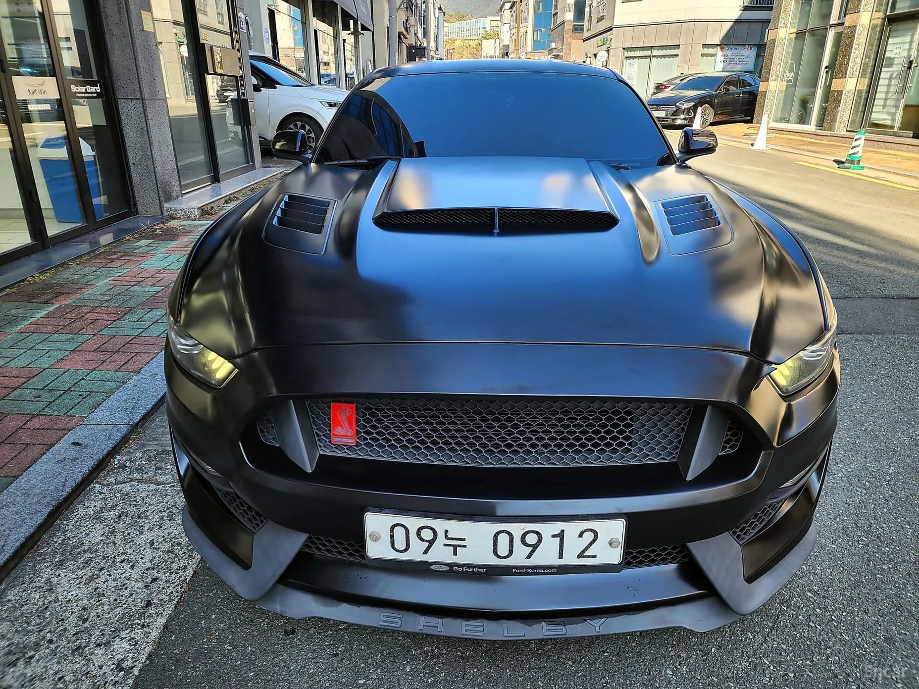 Mustang
