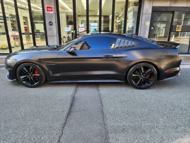 Mustang