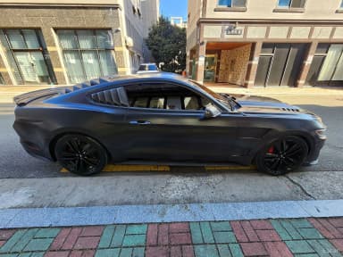 Mustang
