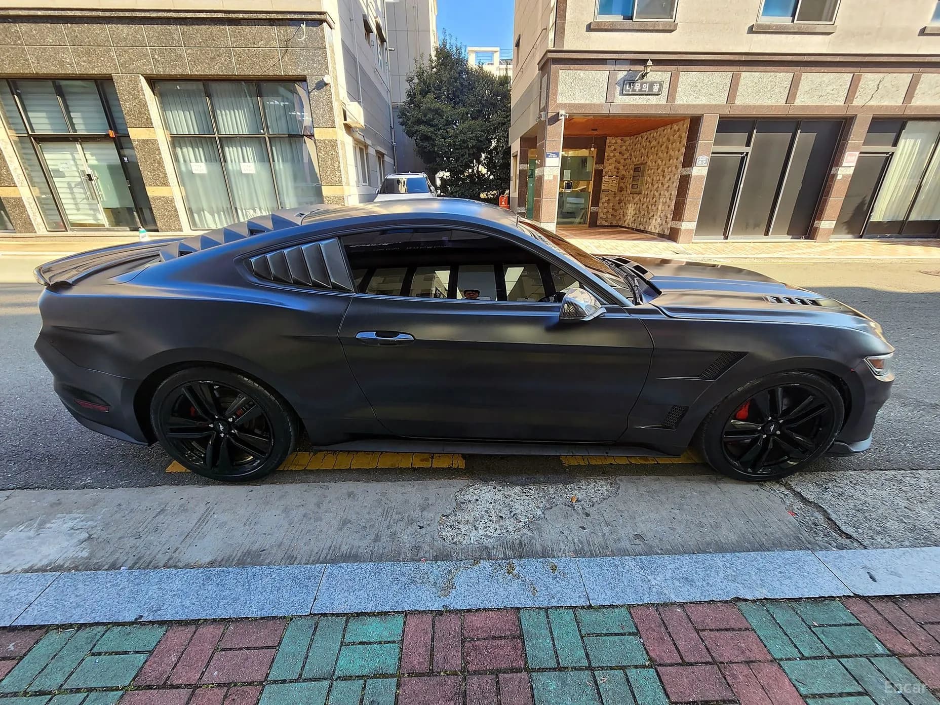Mustang