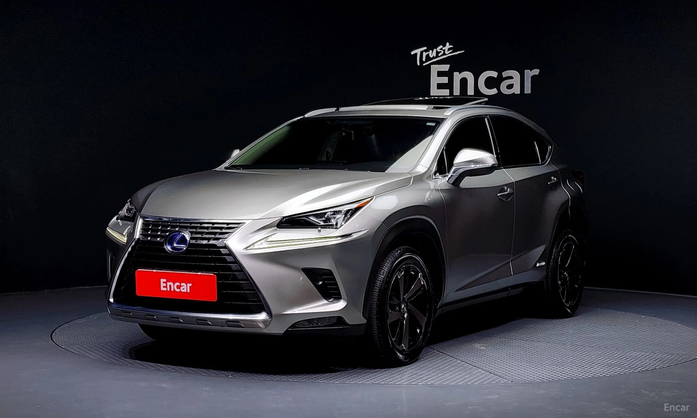 NX300h