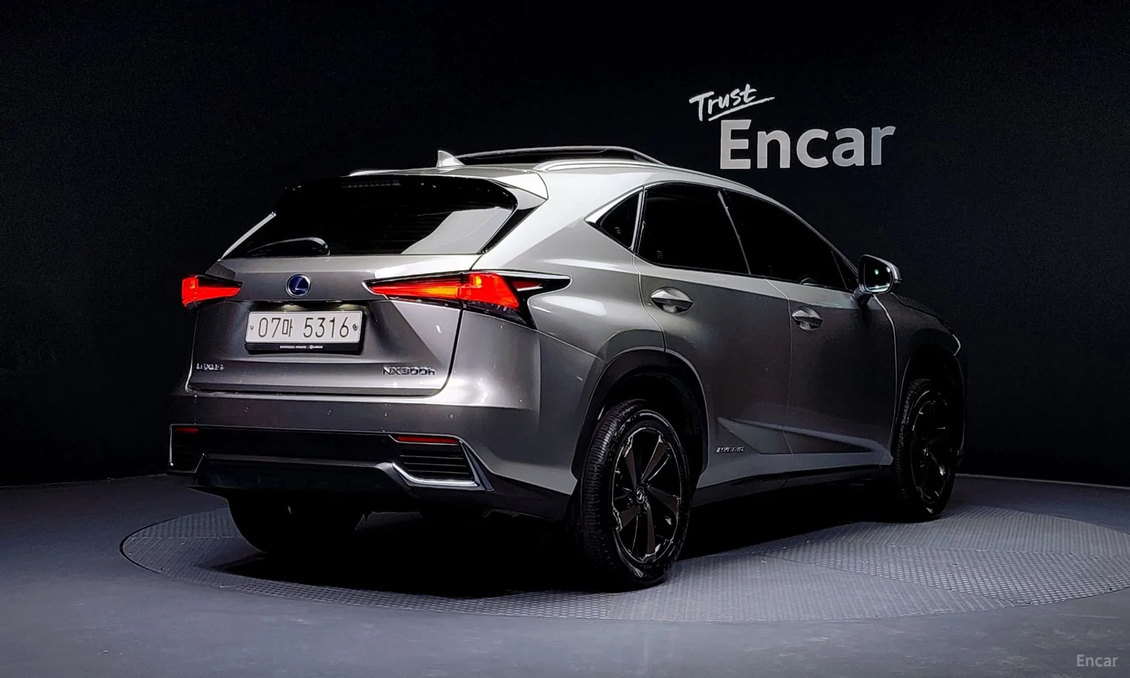 NX300h