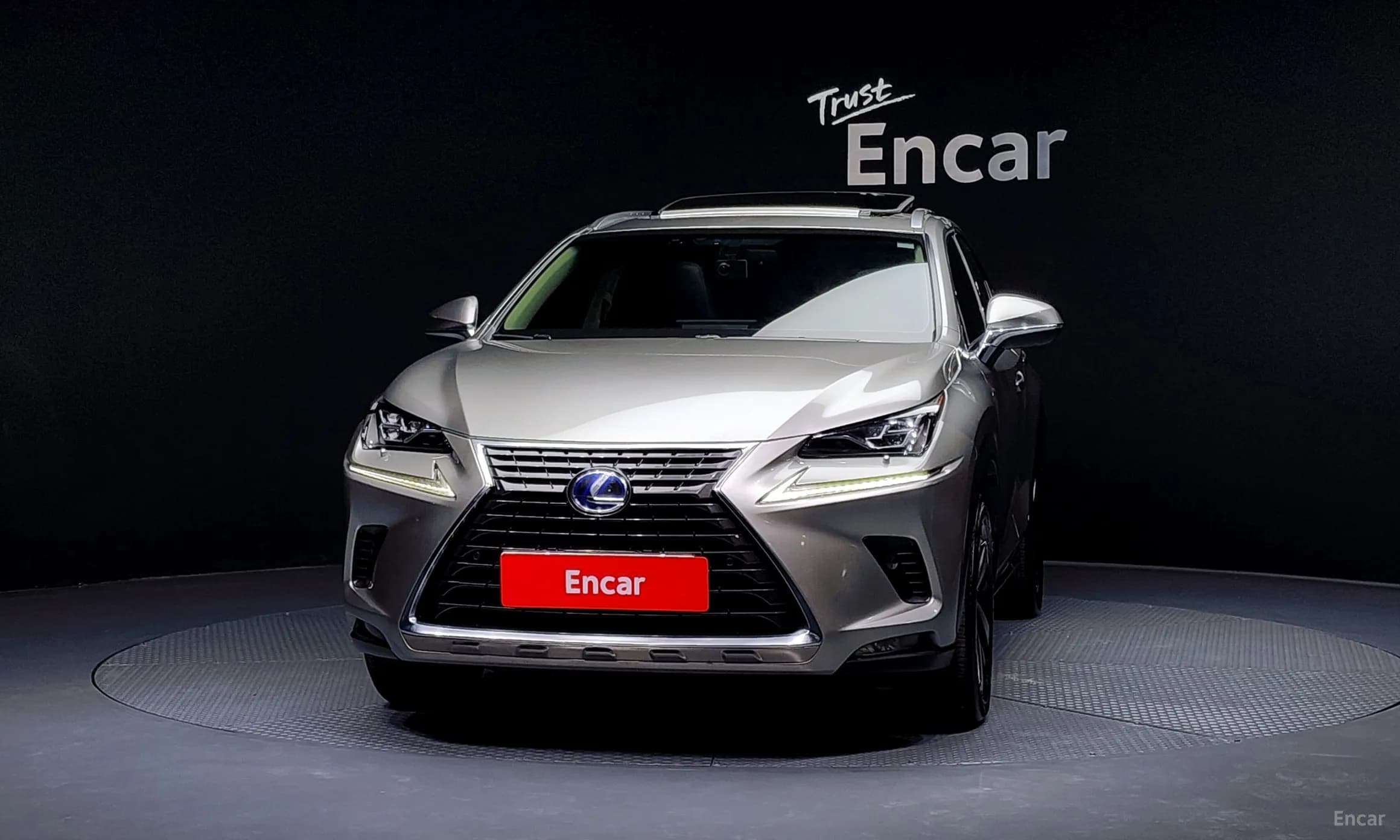 NX300h