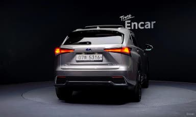 NX300h