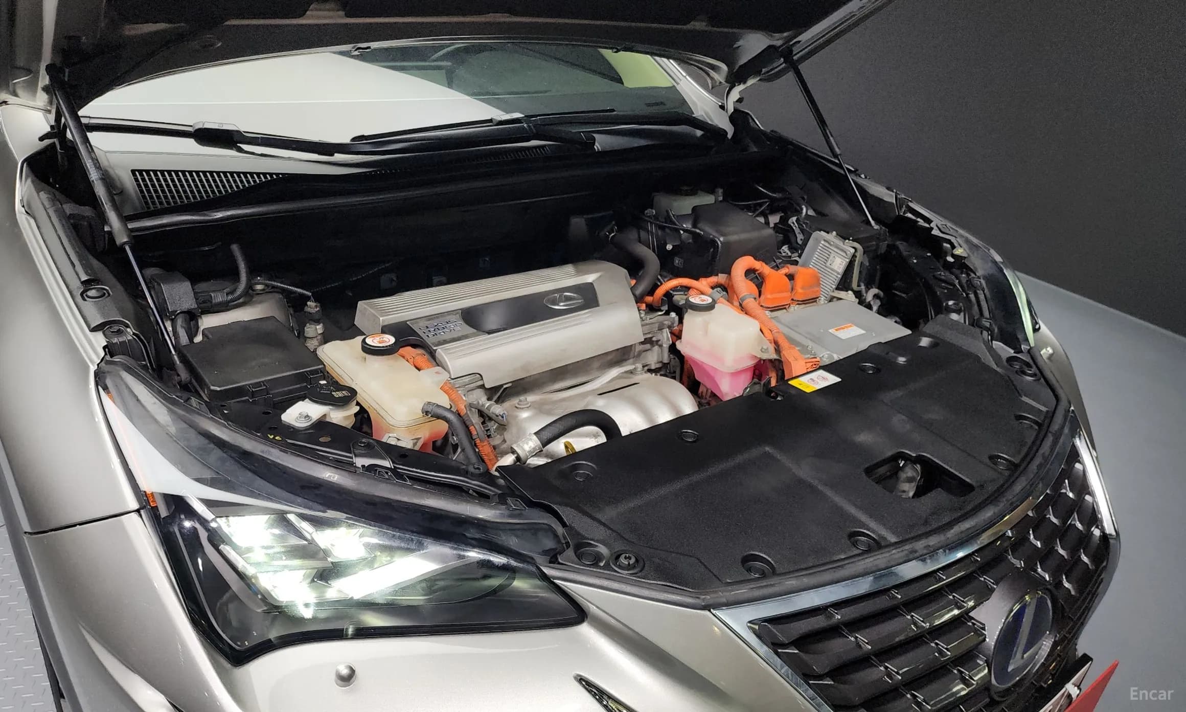 NX300h