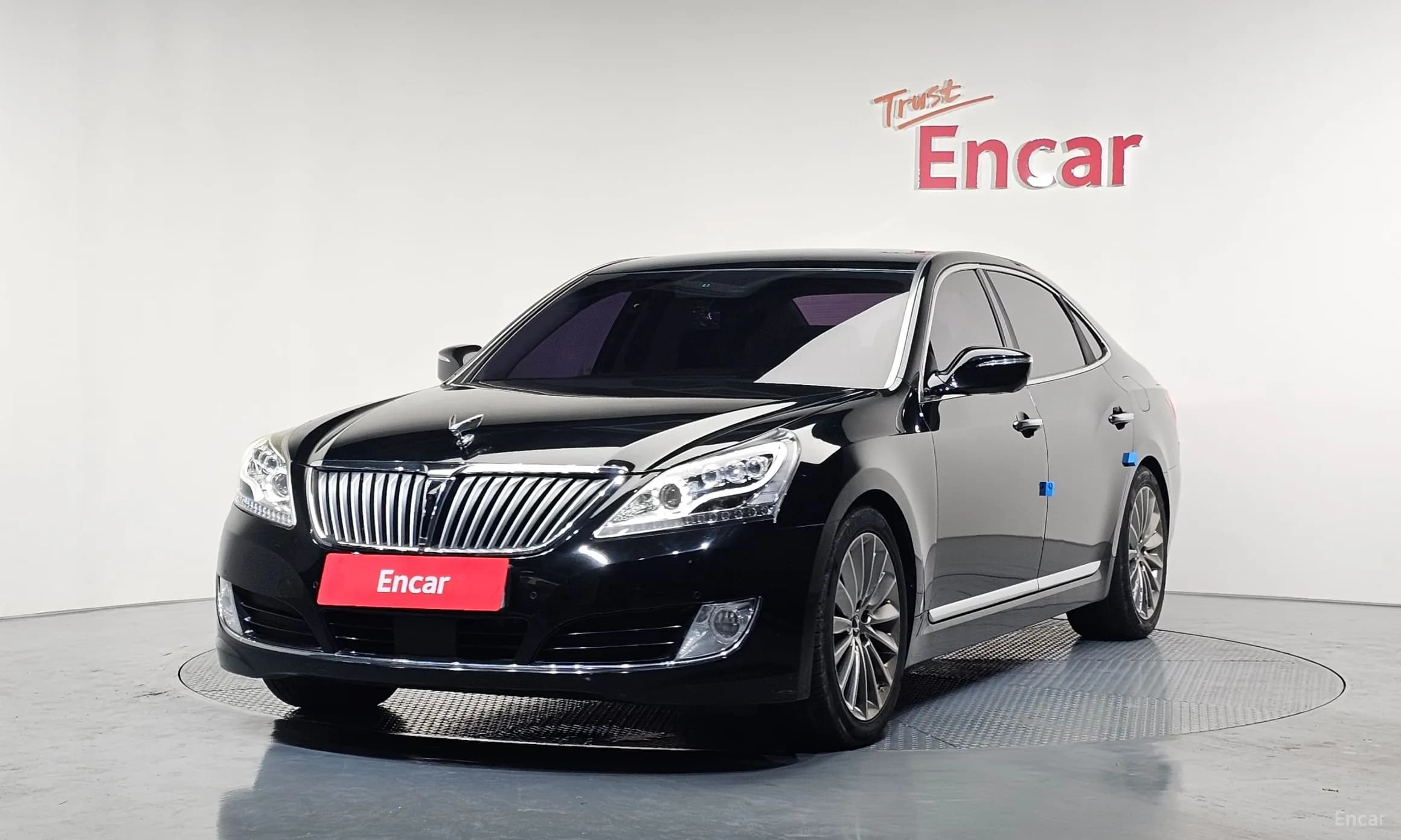 Equus (new)