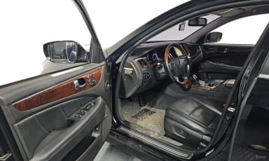 Equus (new)