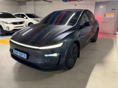Model Y