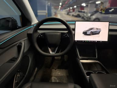 Model Y
