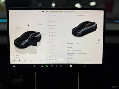 Model Y