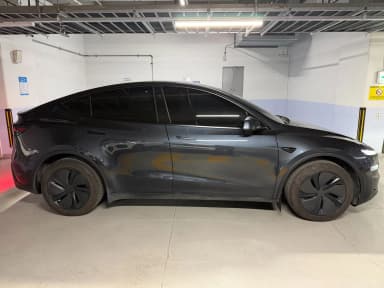 Model Y