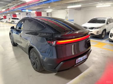 Model Y